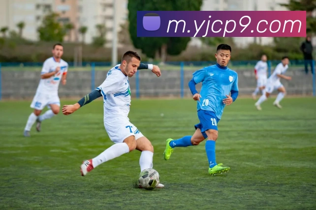 彩神vll官方网站APP 封面图